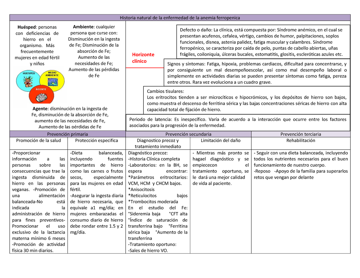 HNE anemia ferropenica Horizonte clínico Historia natural de la enfermedad de la anemia Studocu