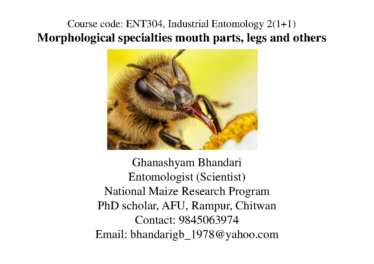 Lecture5 Morphology of honey bees Course code ENT304, Industrial