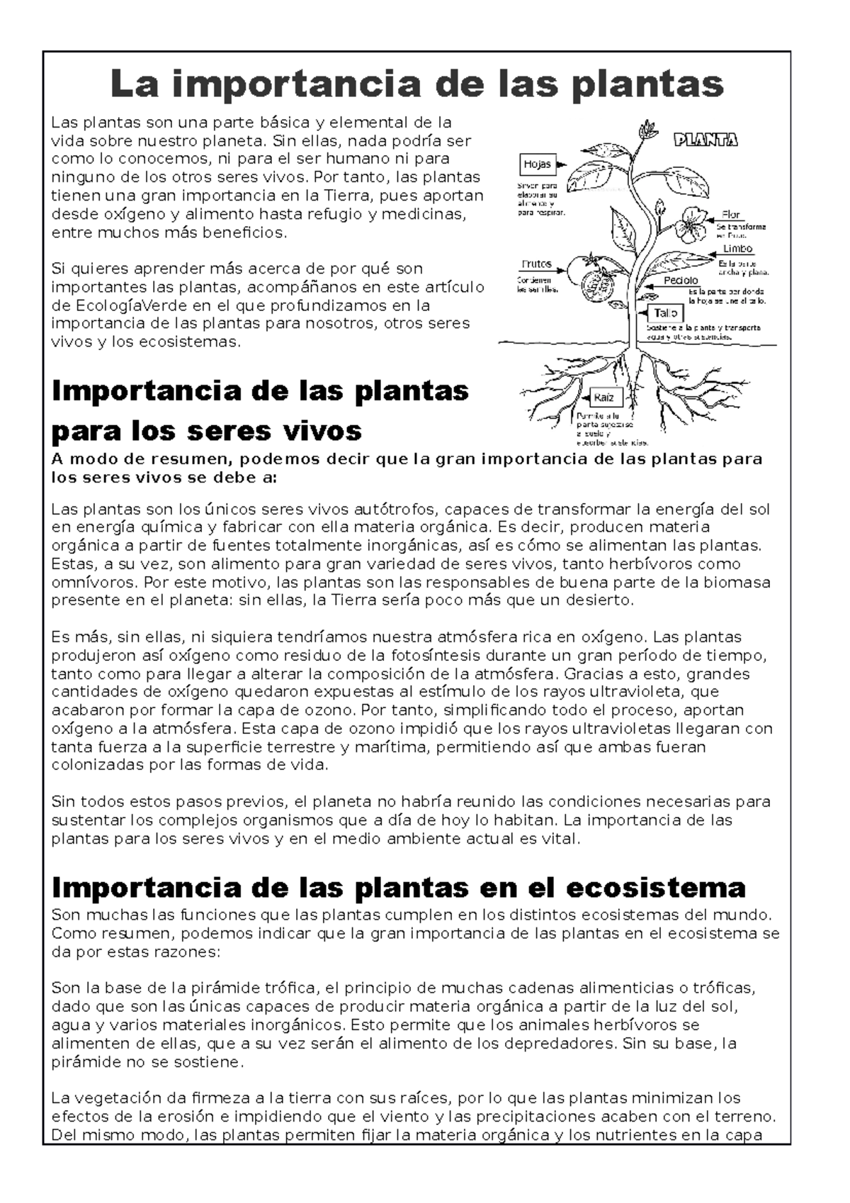 Importancia De Las Plantas La Importancia De Las Plantas Las Plantas