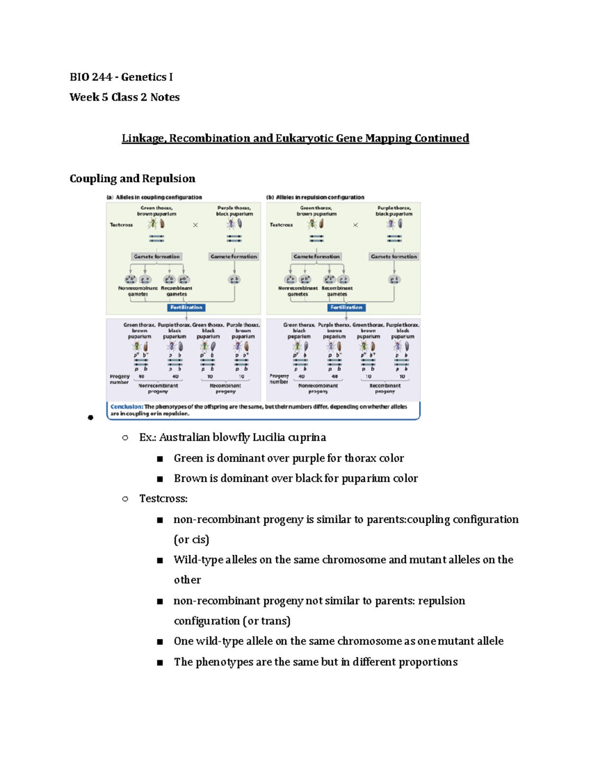 BIO 244 Week 5 Class 2 Notes Summer 2021 - BIO 244 - Genetics I Week 5 ...