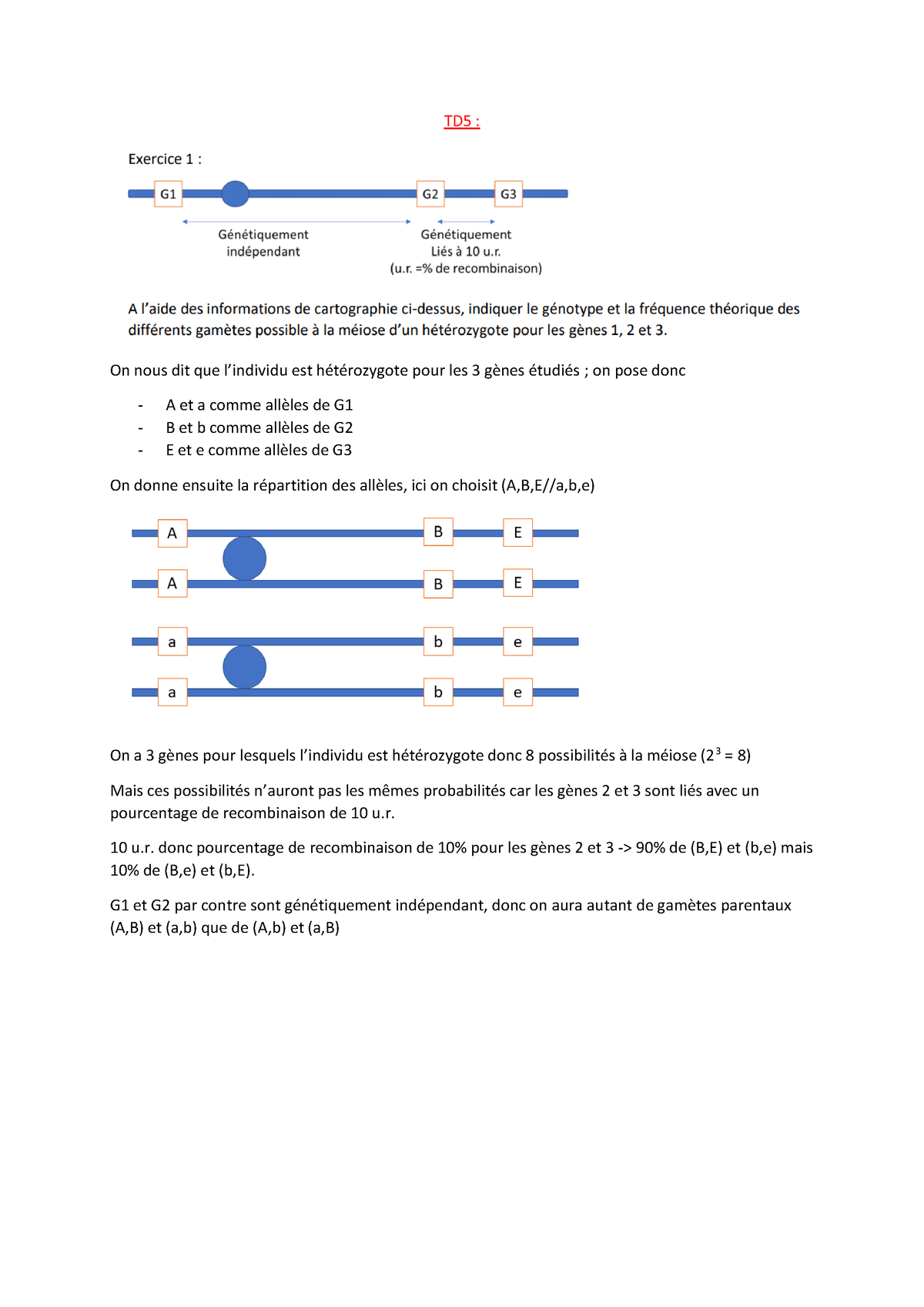 Correction TD5 - TD5 : On Nous Dit Que L’individu Est Hétérozygote Pour ...