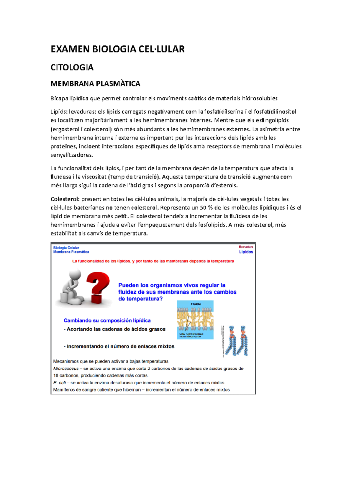 Biocel- Citologia - 1r Parcial - EXAMEN BIOLOGIA CEL·LULAR CITOLOGIA ...