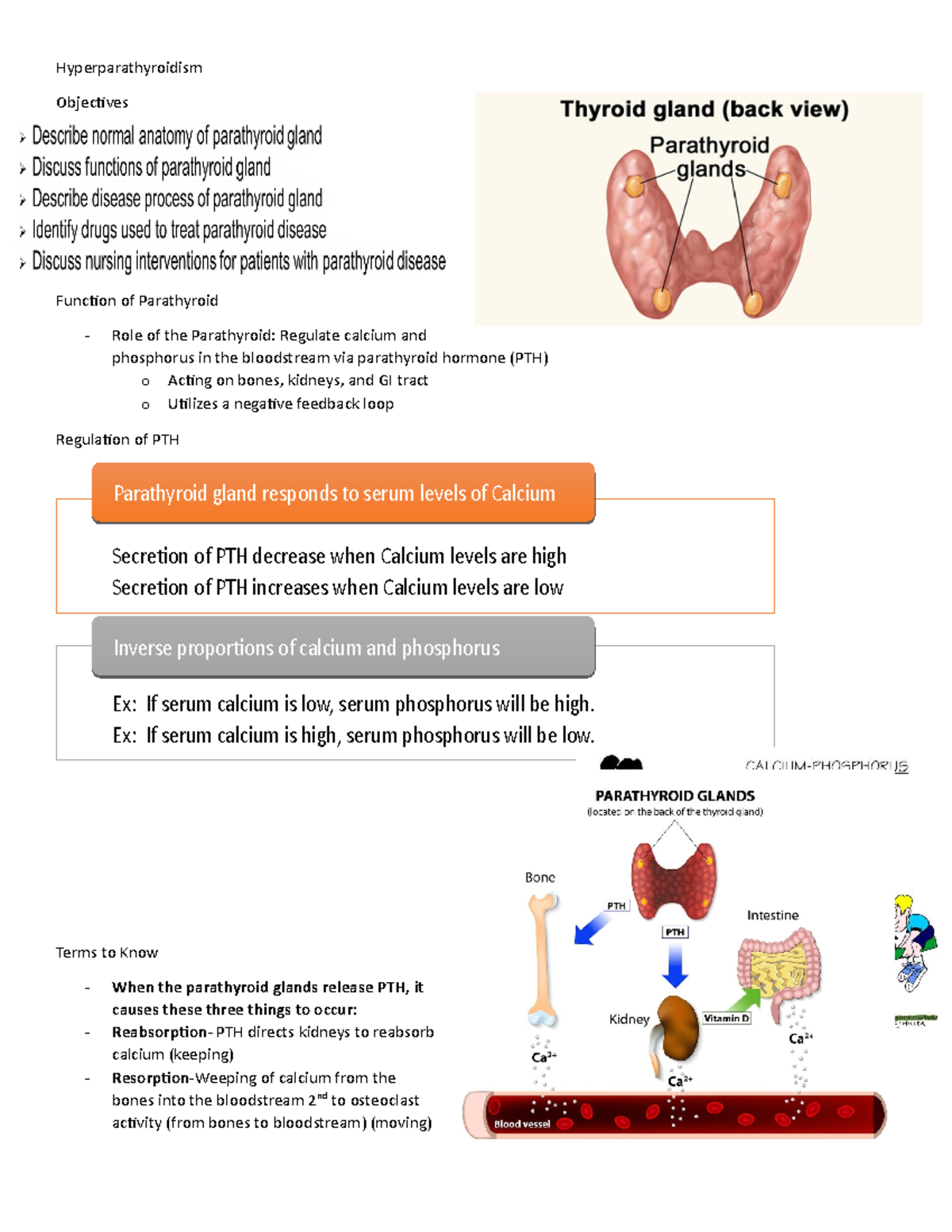 parathyroidectomy-healthdirect