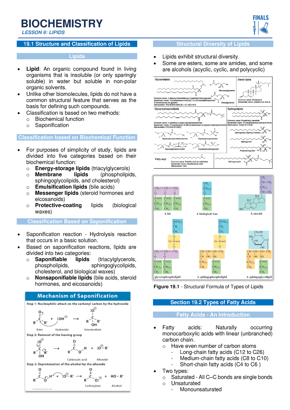 Lesson 9- Lipids - Kaya ninyo yan - LESSON 9: LIPIDS 19 Structure and ...