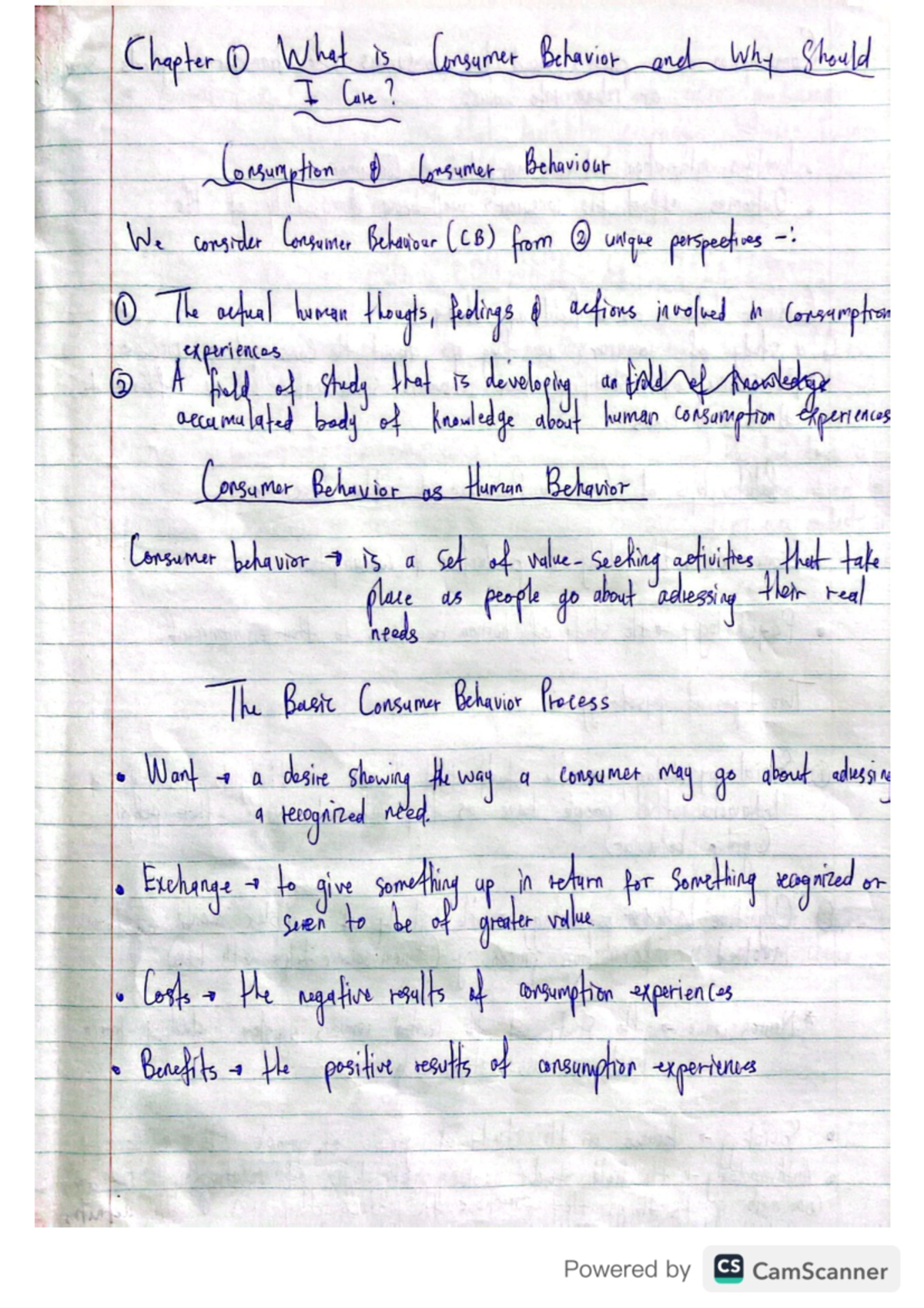 BEM 212 chapter 1 - Summary Consumer behavior - BEM 212 - Studocu