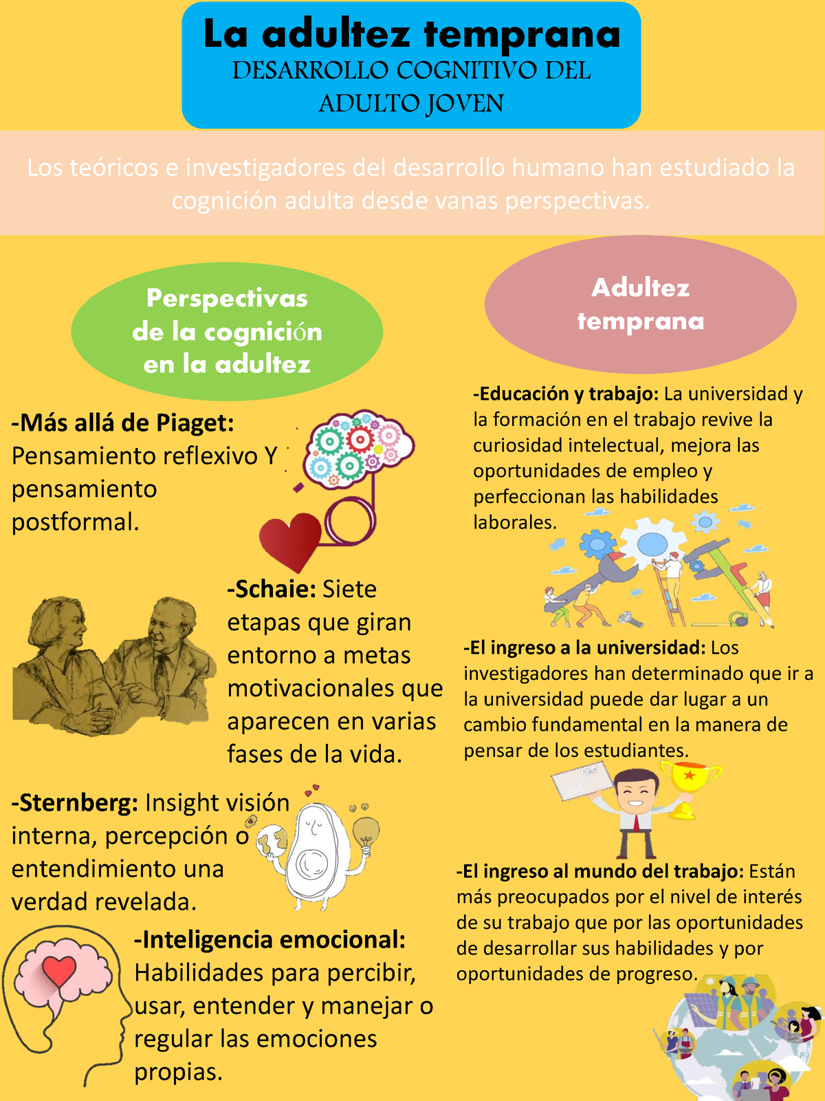 Desarrollo Cognitivo DEL Adulto Joven La adultez temprana