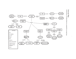 Anatomy & Physiology 1 Midterm I Practice Questions - Google Docs ...