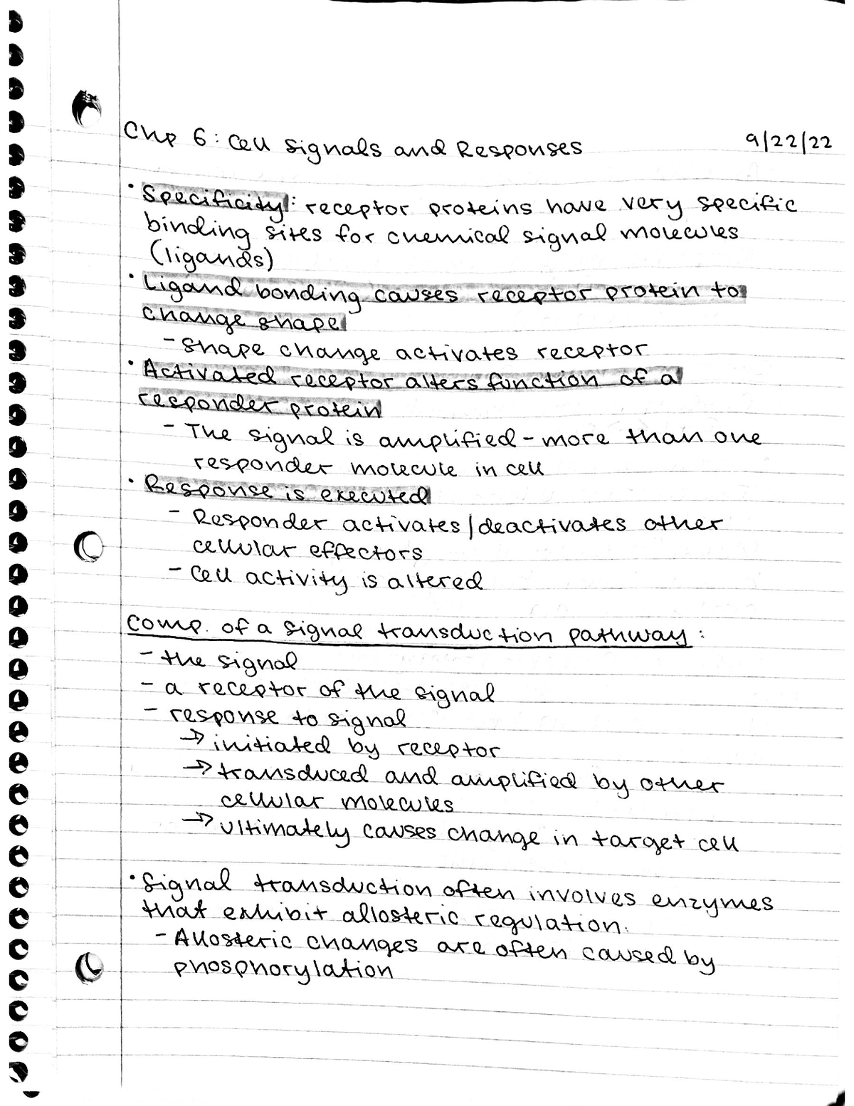 Chapter 6 Notes - BIOL14110AAA - Studocu