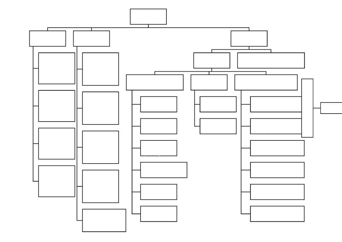 Mind Maps - Mind Map For Exam Prep - The Criminal Justice Process 