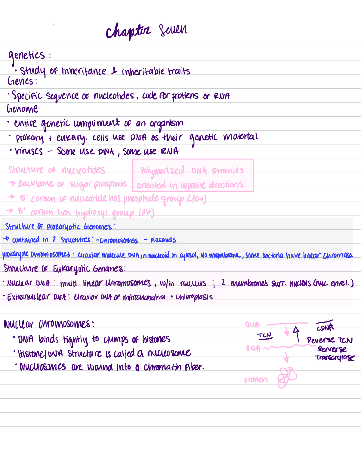 Microbio 7 - Microbial Genetics / Transcription And Translation. Ch.7 ...