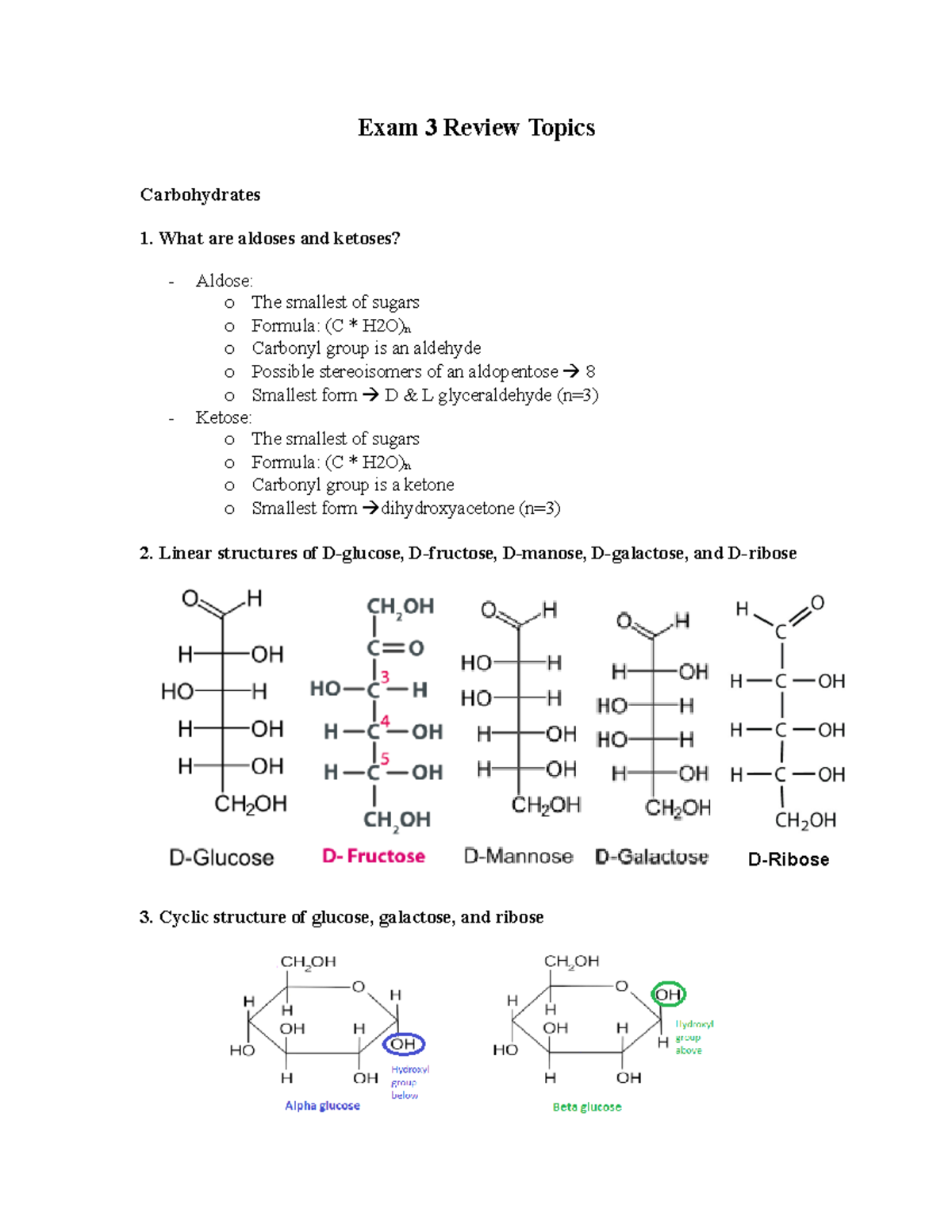 Biochem I Exam 3 Review - Exam 3 Review Topics Carbohydrates 1. What ...