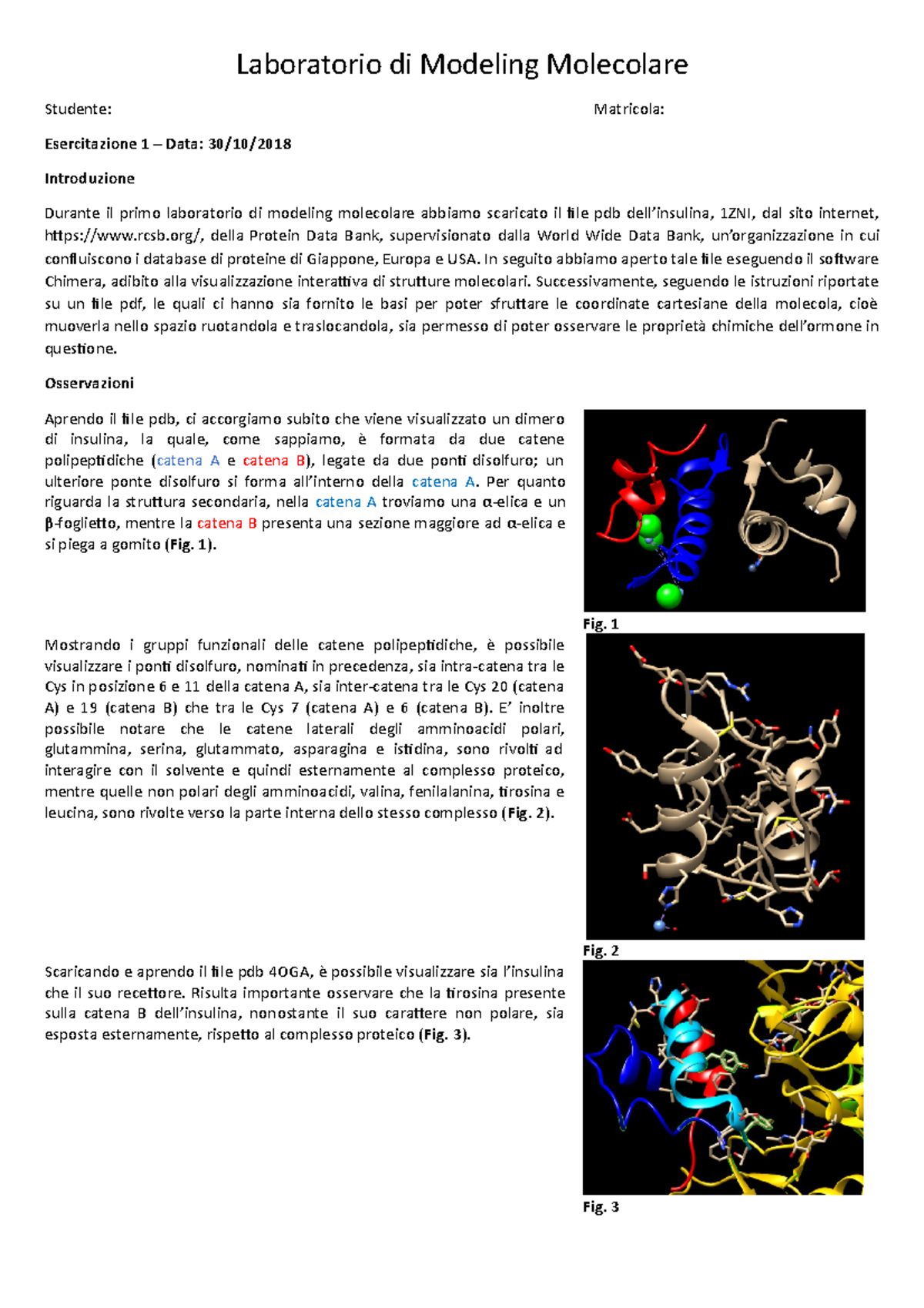 Relazione Lab Modeling - Laboratorio di Modeling Molecolare Studente ...