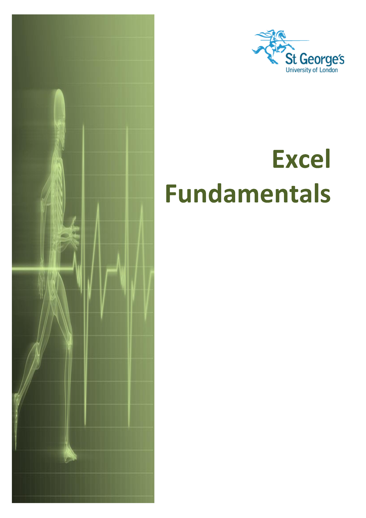 excel-fundamentals-manual-excel-fundamentals-st-george-s-information