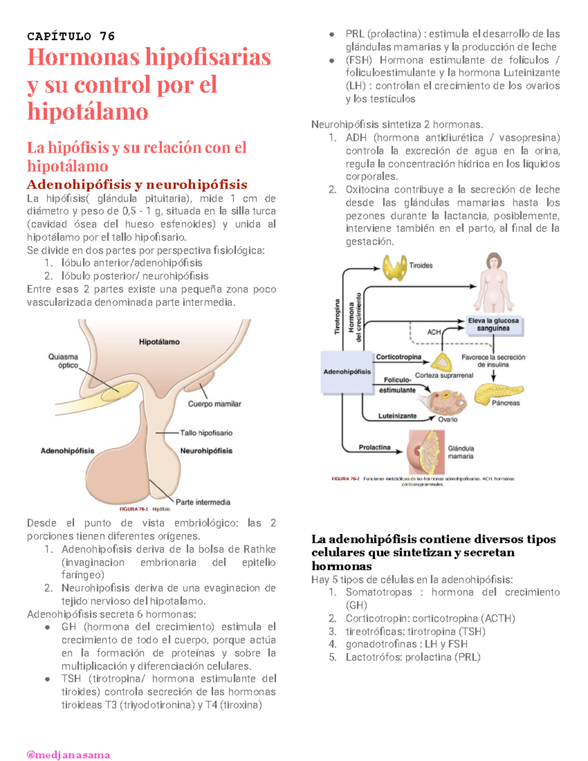 Capítulo 76-Hormonas Hipofisarias Y Su Control Por El Hipotálamo ...