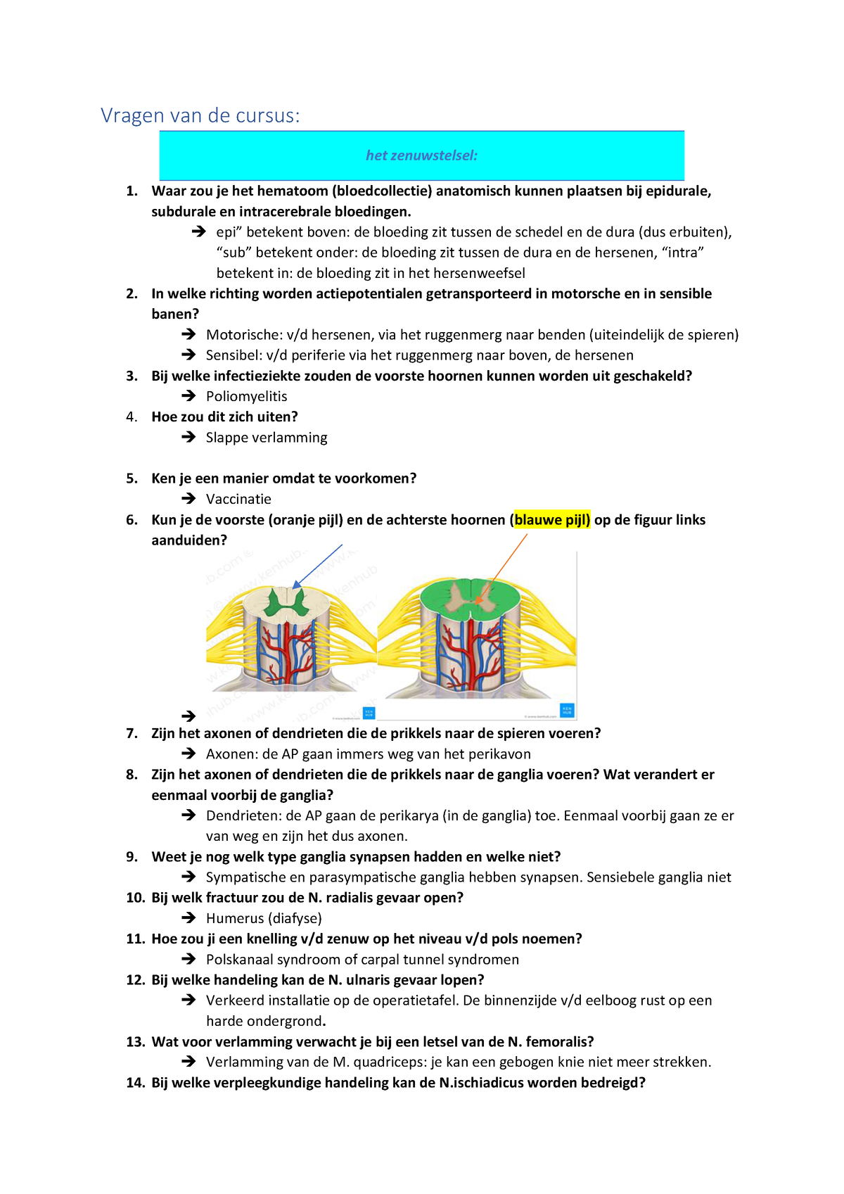 Anatomie Deel 2 Vragen Alleen - Vragen Van De Cursus: Het Zenuwstelsel ...