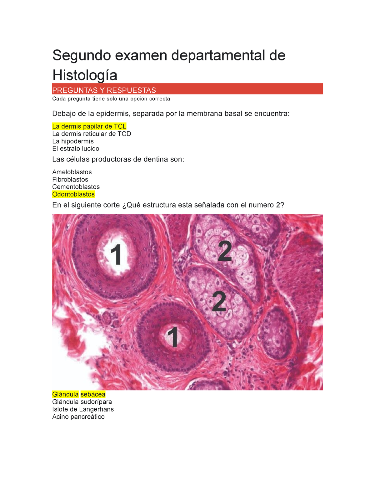 2DO DEPA Histología - Segundo Examen Departamental De Histología ...