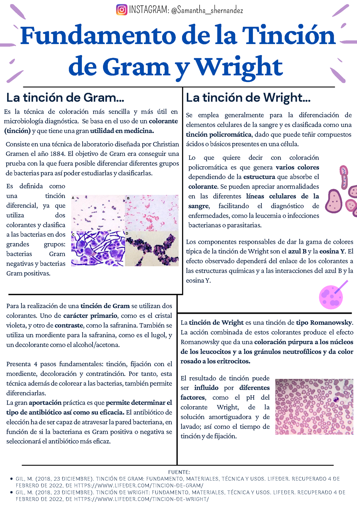 Fundamentos De La Tinción De Gram Y Wright - Fundamento De La Tinción ...