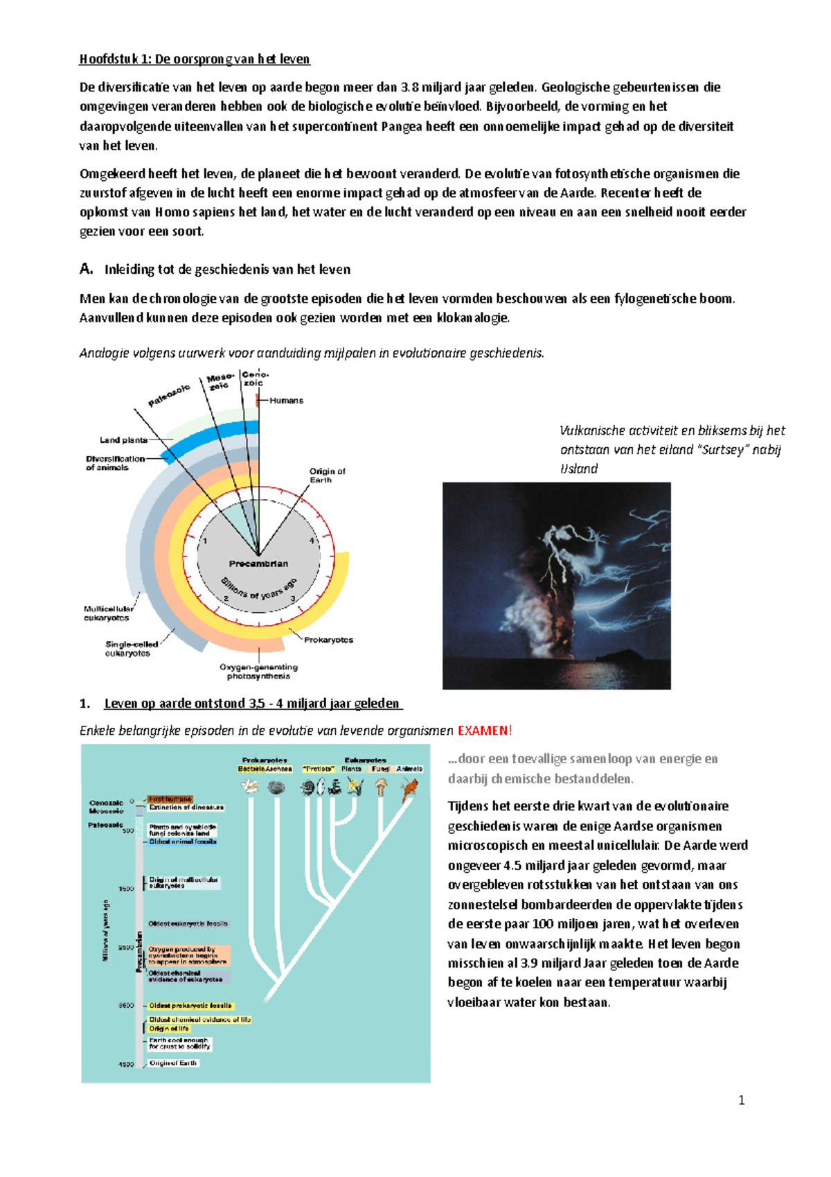 Samenvatting Biologie - Hoofdstuk 1: De Oorsprong Van Het Leven De ...