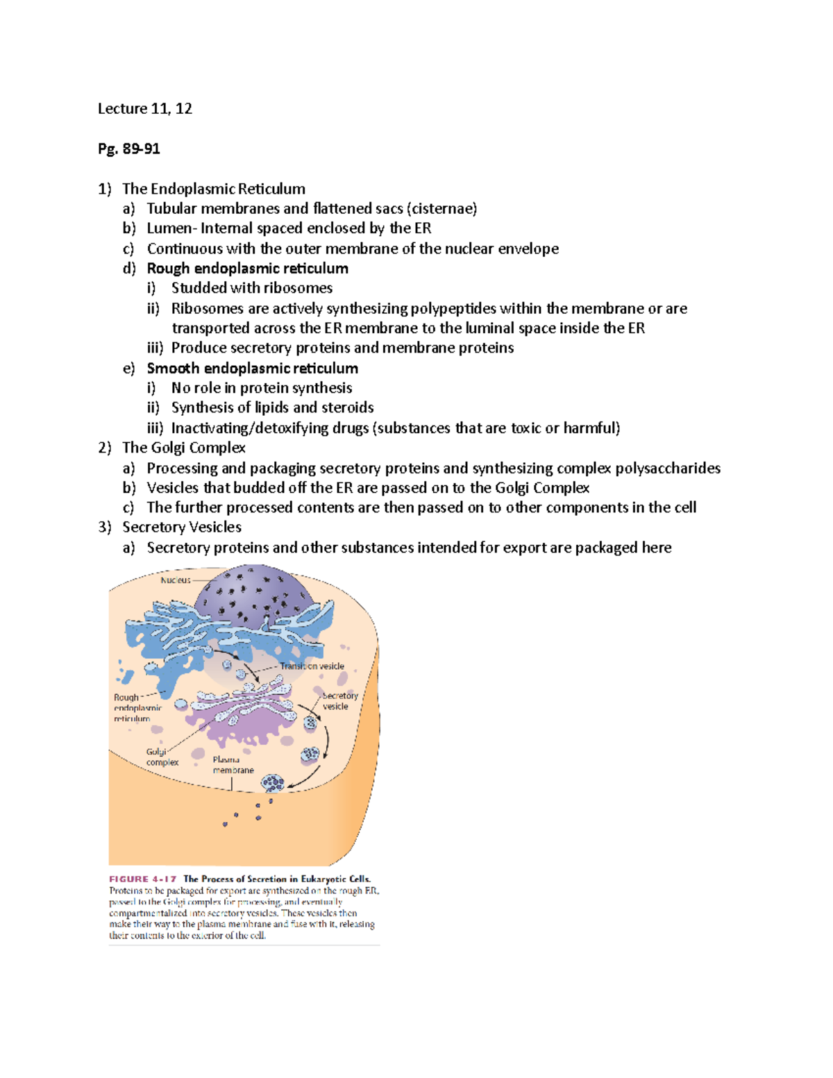 MOL 214 Lecture 11, 12 Notes - Lecture 11, 12 Pg. 89- The Endoplasmic ...