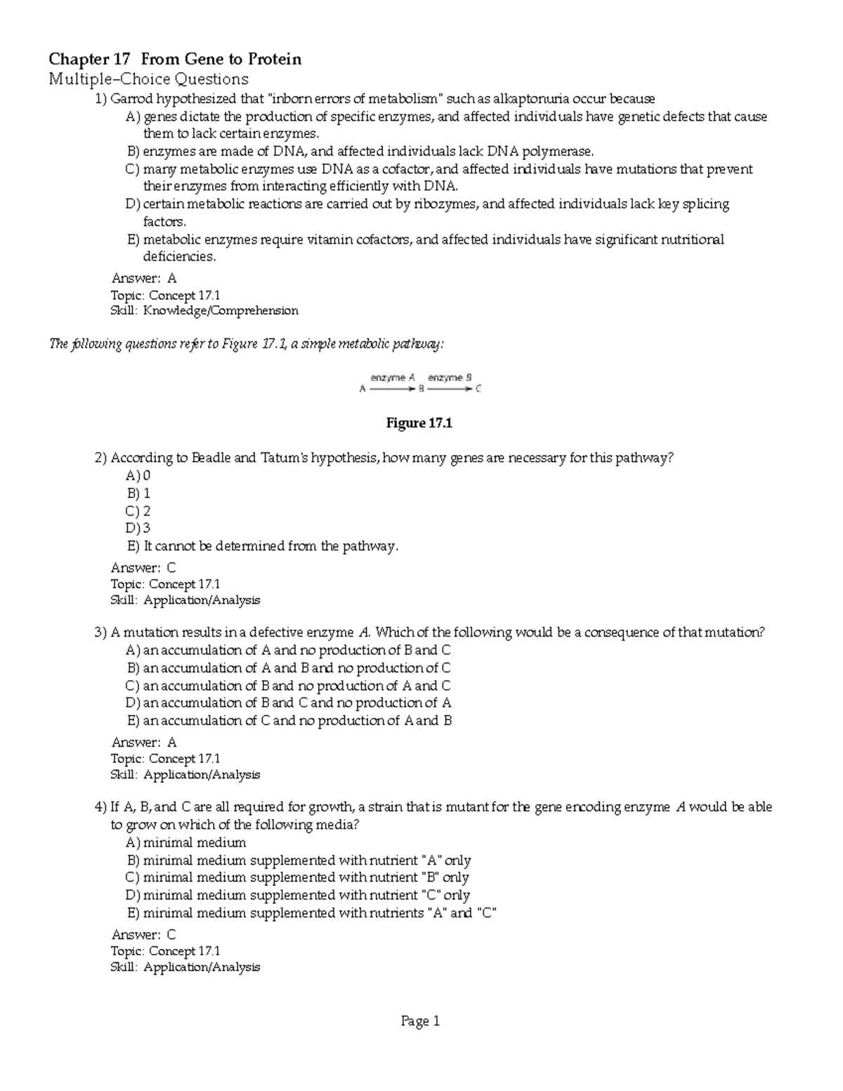 Ch17 microbiology Chapter 17 From Gene to Protein MultipleChoice