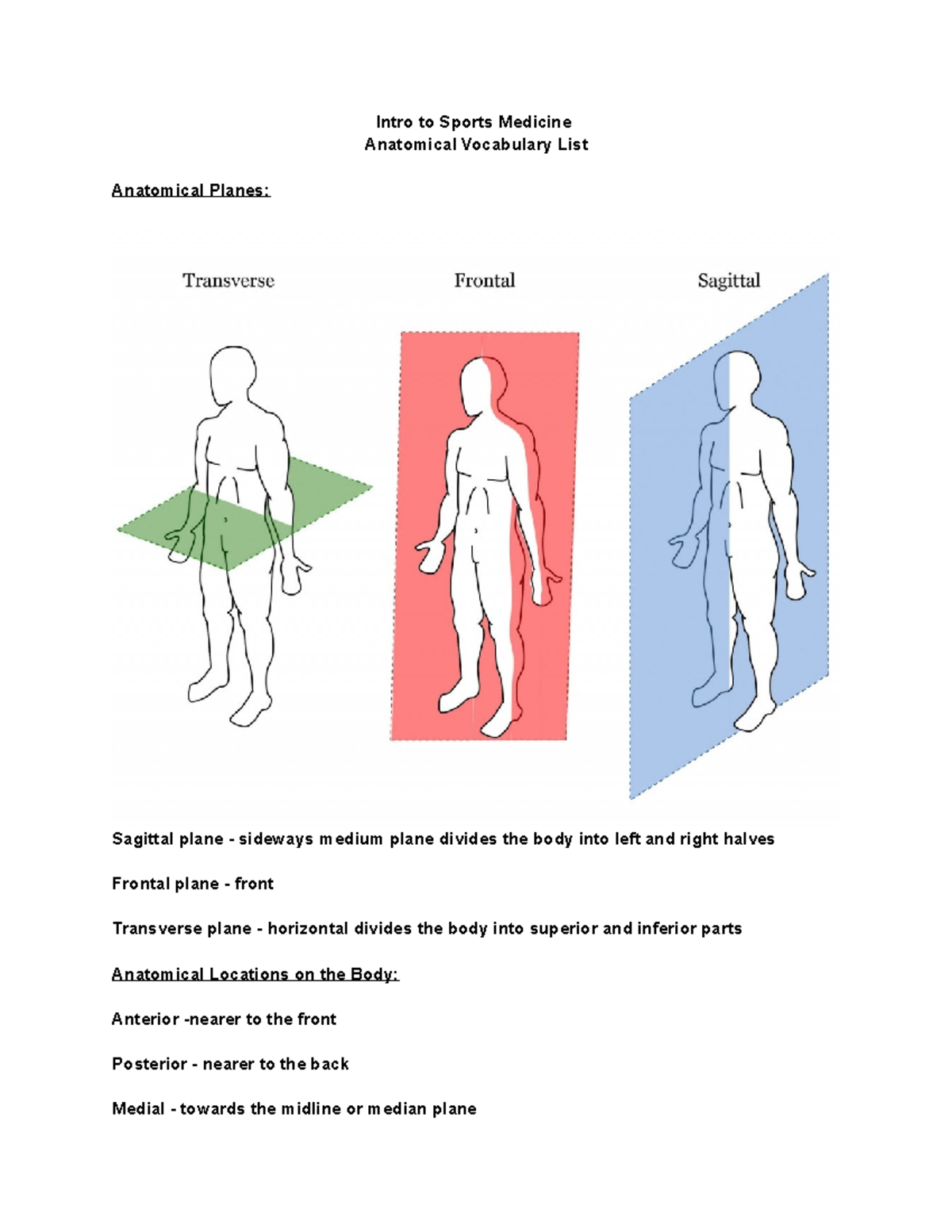 Copy of Anatomical Vocabulary List - Intro to Sports Medicine ...