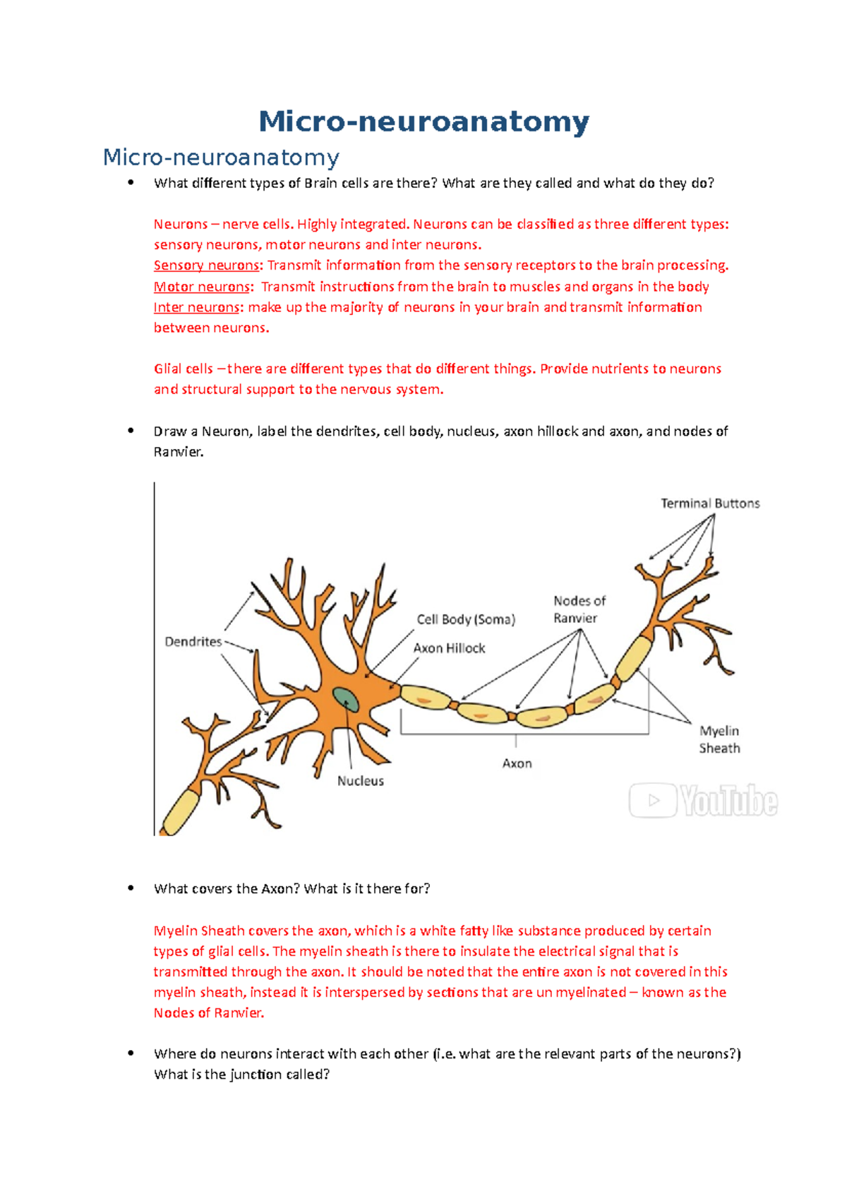 Week 5 - Micro-Neuronatomy - Micro-neuroanatomy Micro-neuroanatomy What ...