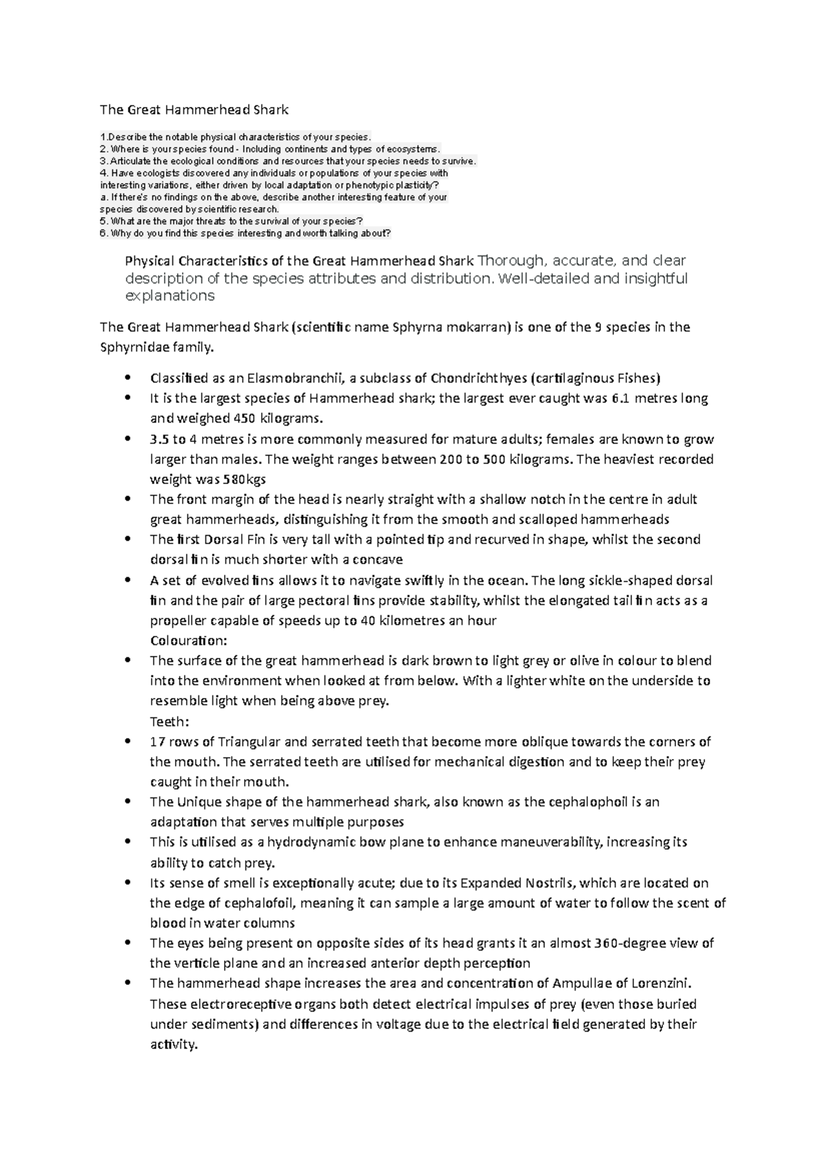 Hammerhead shark The Great Hammerhead Shark 1 the notable physical