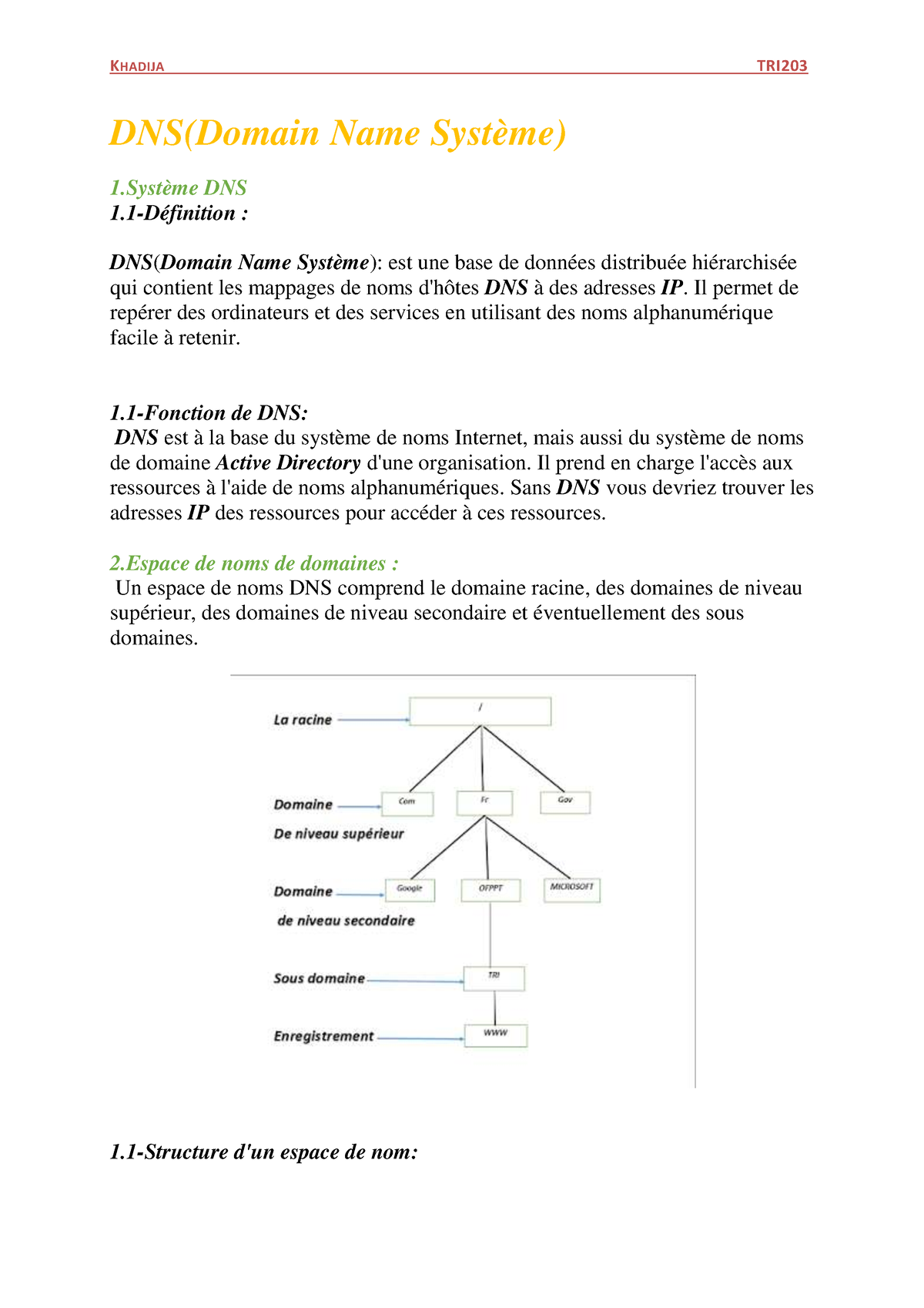 DNS - DNS - DNS(Domain Name Système) 1ème DNS 1-Définition : DNS(Domain ...