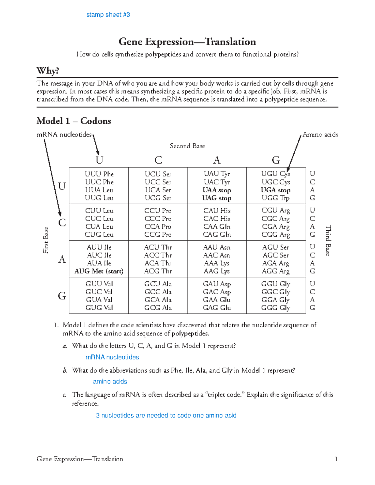 Translation Pogil - Gene Expression—Translation 1 Gene Expression ...