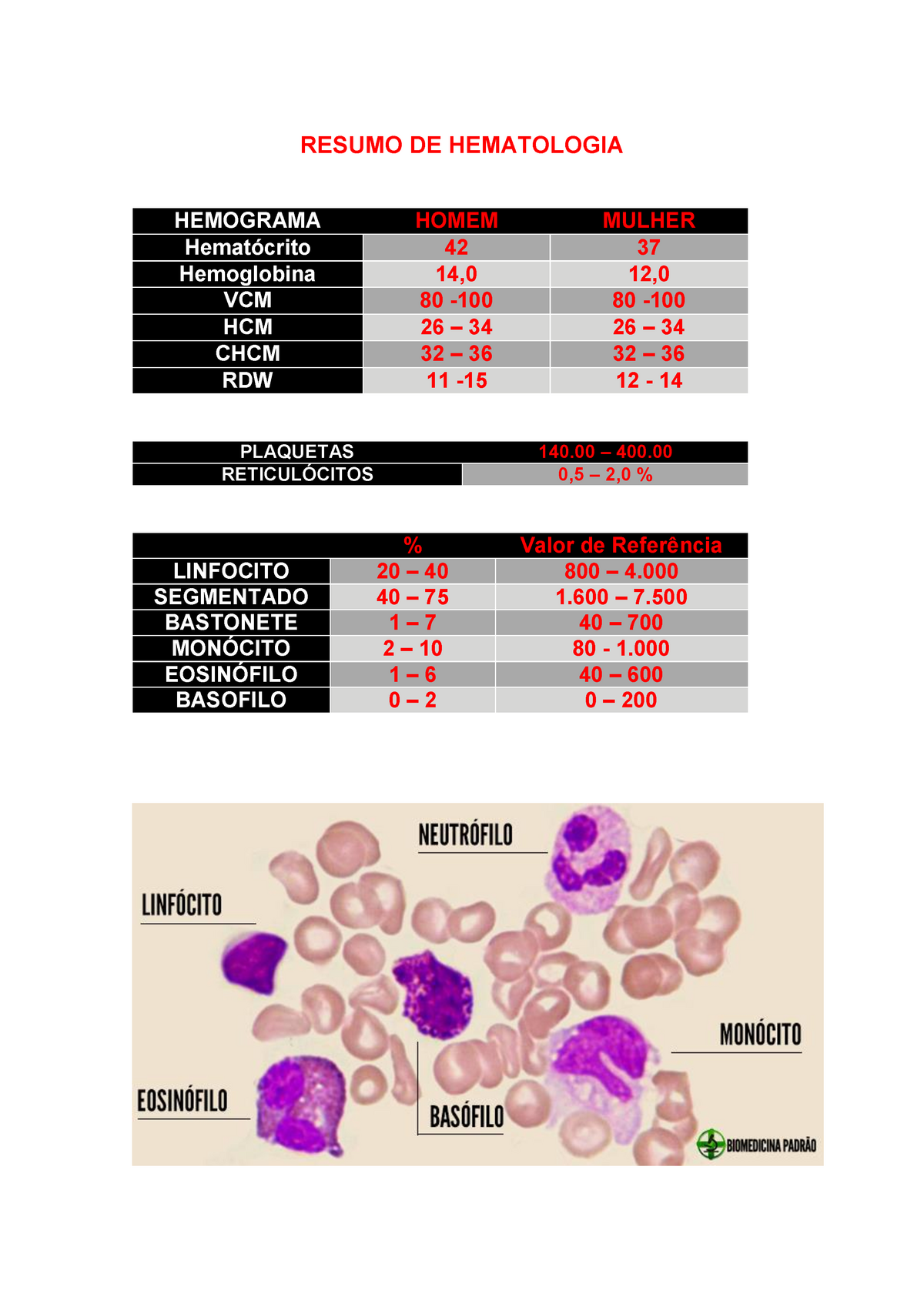 Relatorio Hematologia - RESUMO DE HEMATOLOGIA HEMOGRAMA Hemoglobina VCM ...