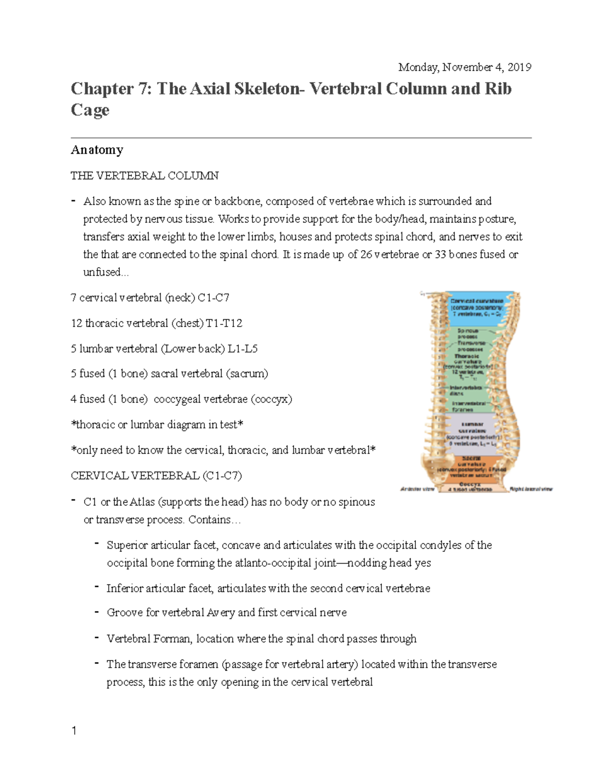 Chapter 7 (b) - Axial Skeleton - Chapter 7: The Axial Skeleton ...