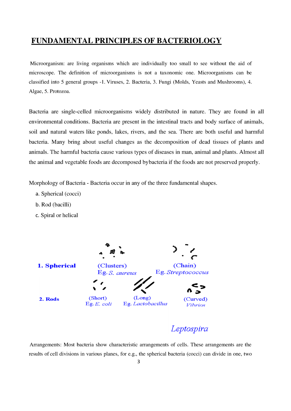 Fundamental Principles of Bacteriology FUNDAMENTAL PRINCIPLES OF