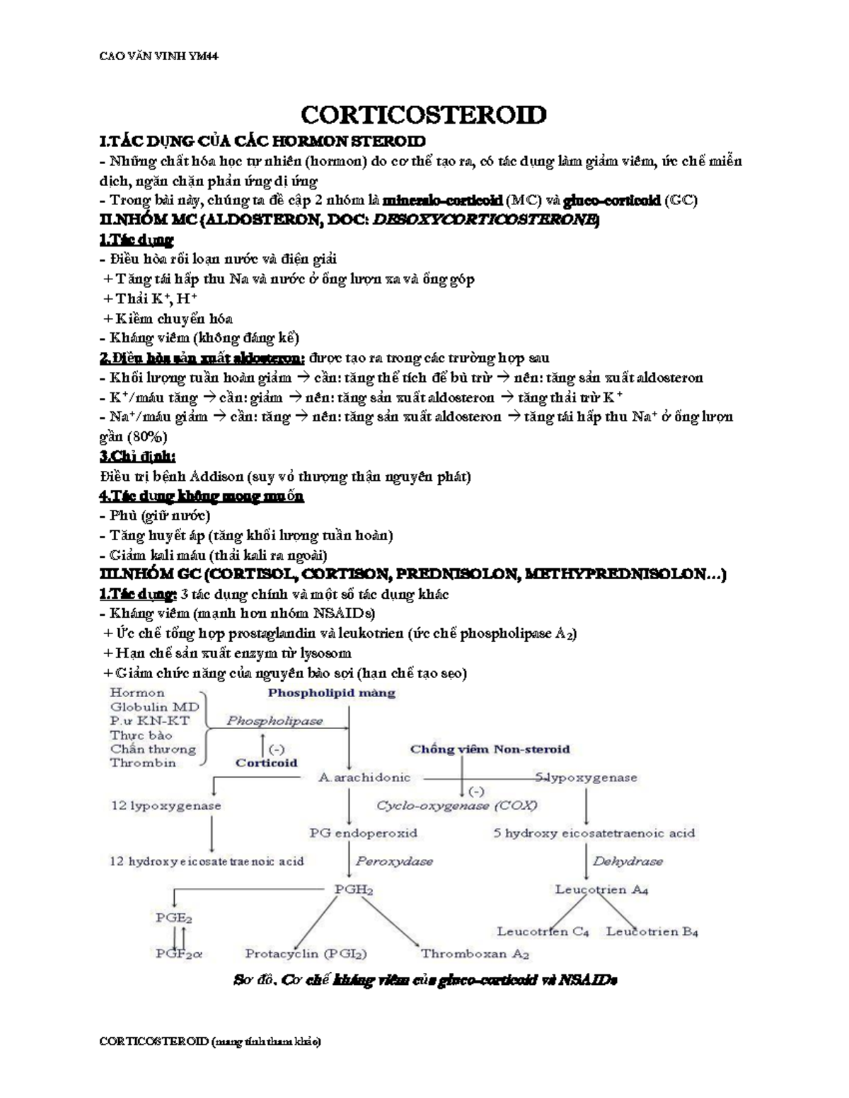 Corticosteroid - CORTICOSTEROID IÁC DỤNG CỦA CÁC HORMON STEROID Những ...