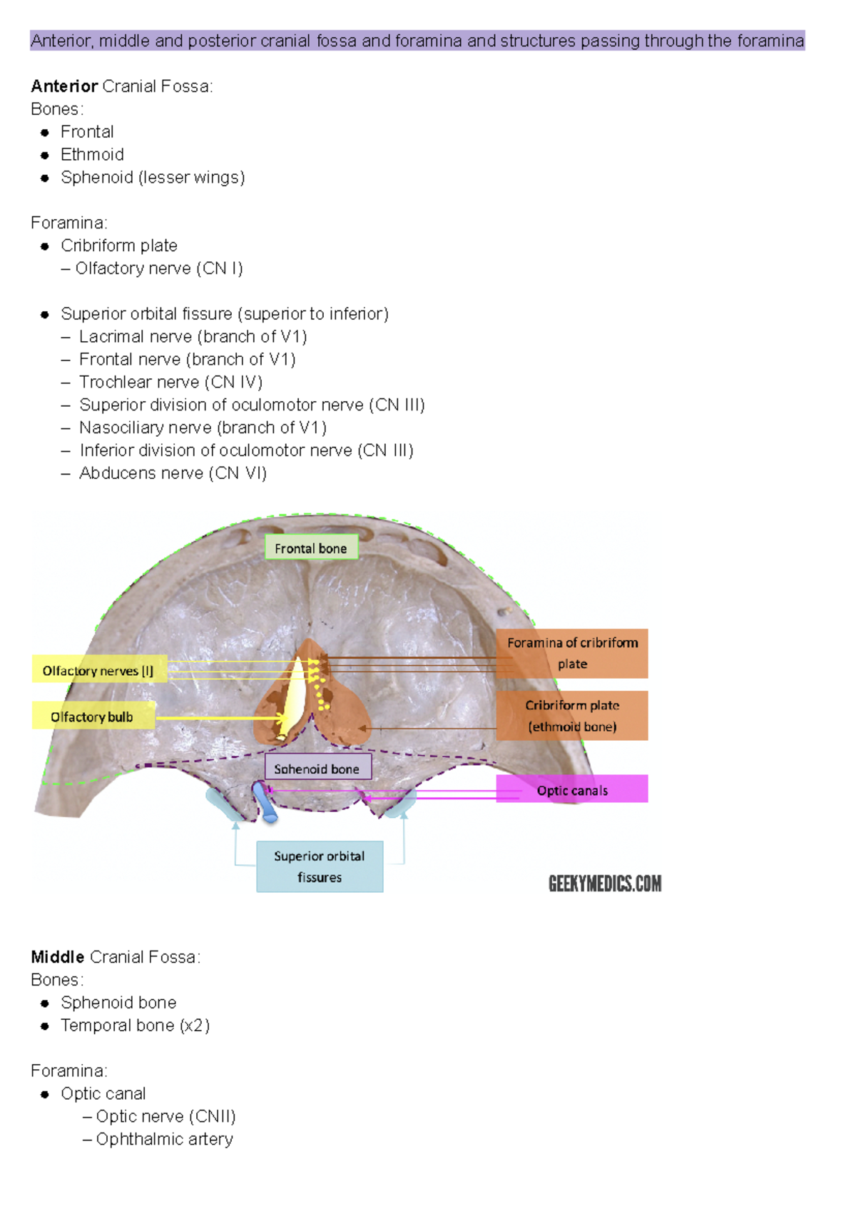 Mills LOs pbl learning objectives Anterior, middle and posterior