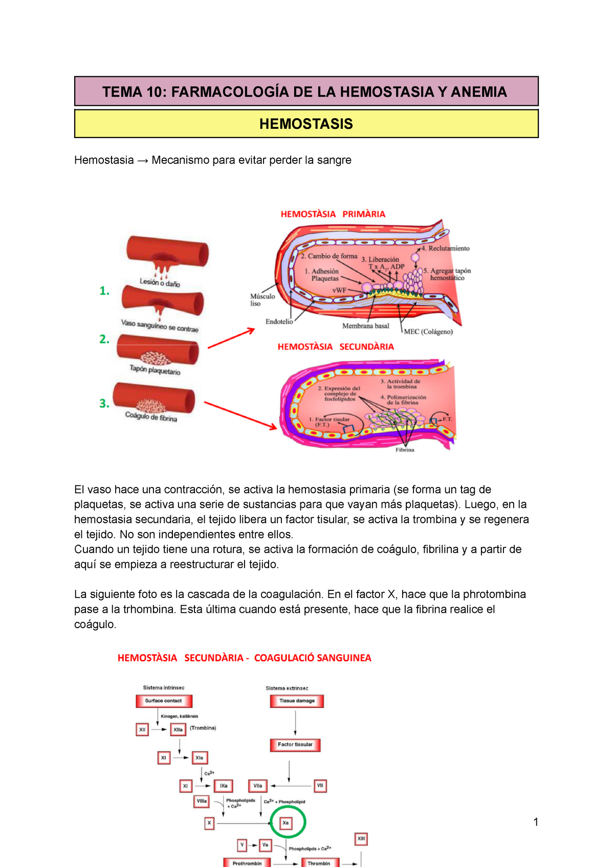 TEMA 10 - Farmacología Tema 10: Farmacología De La Hemostasis Y Anemia ...