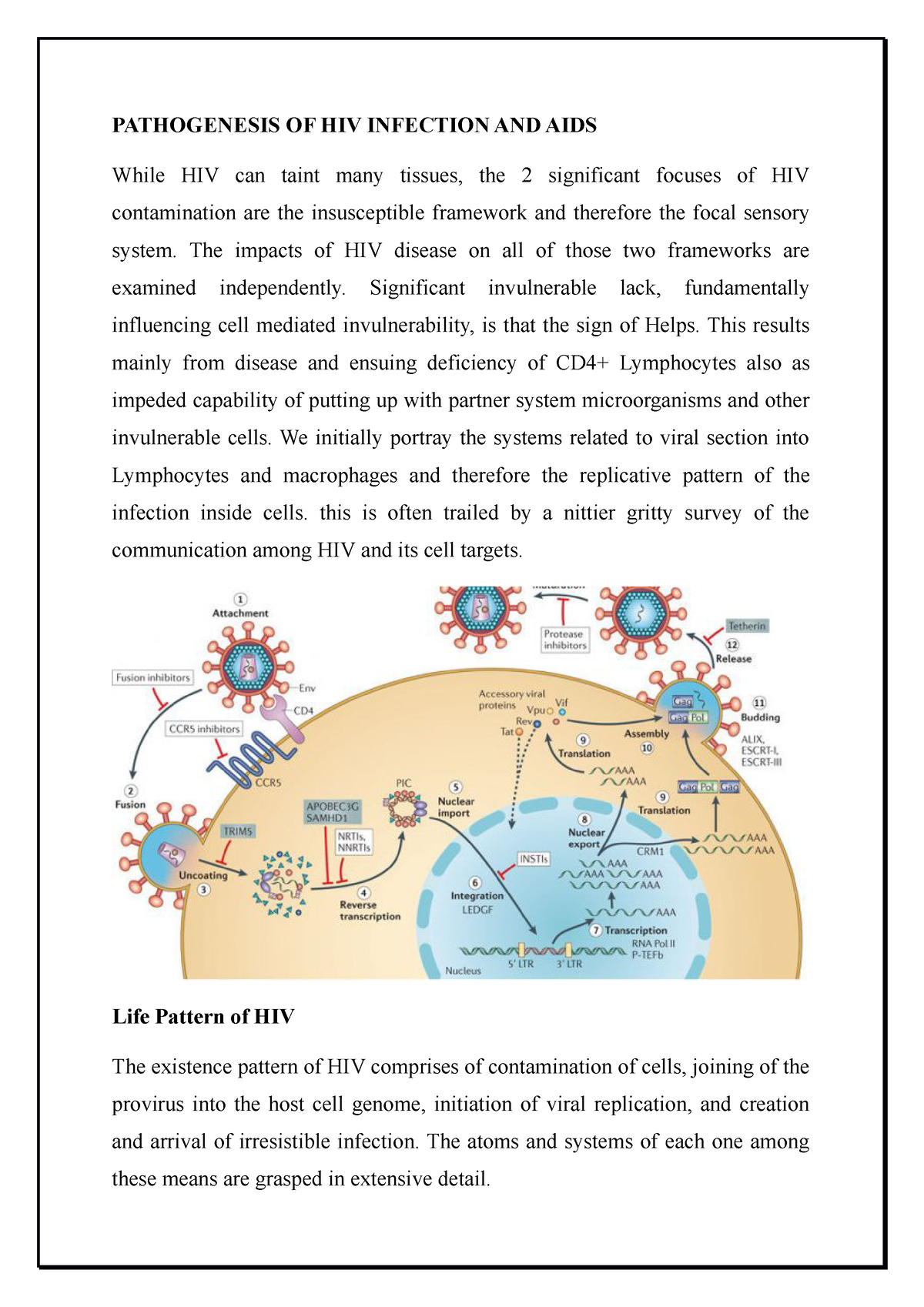 Pathogenesis OF HIV Infection AND AIDS - PATHOGENESIS OF HIV INFECTION ...