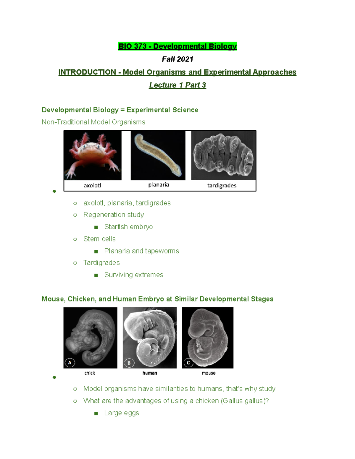 BIO 373 Lecture 1 Part 3 - Fall 2021 - BIO 373 - Developmental Biology ...