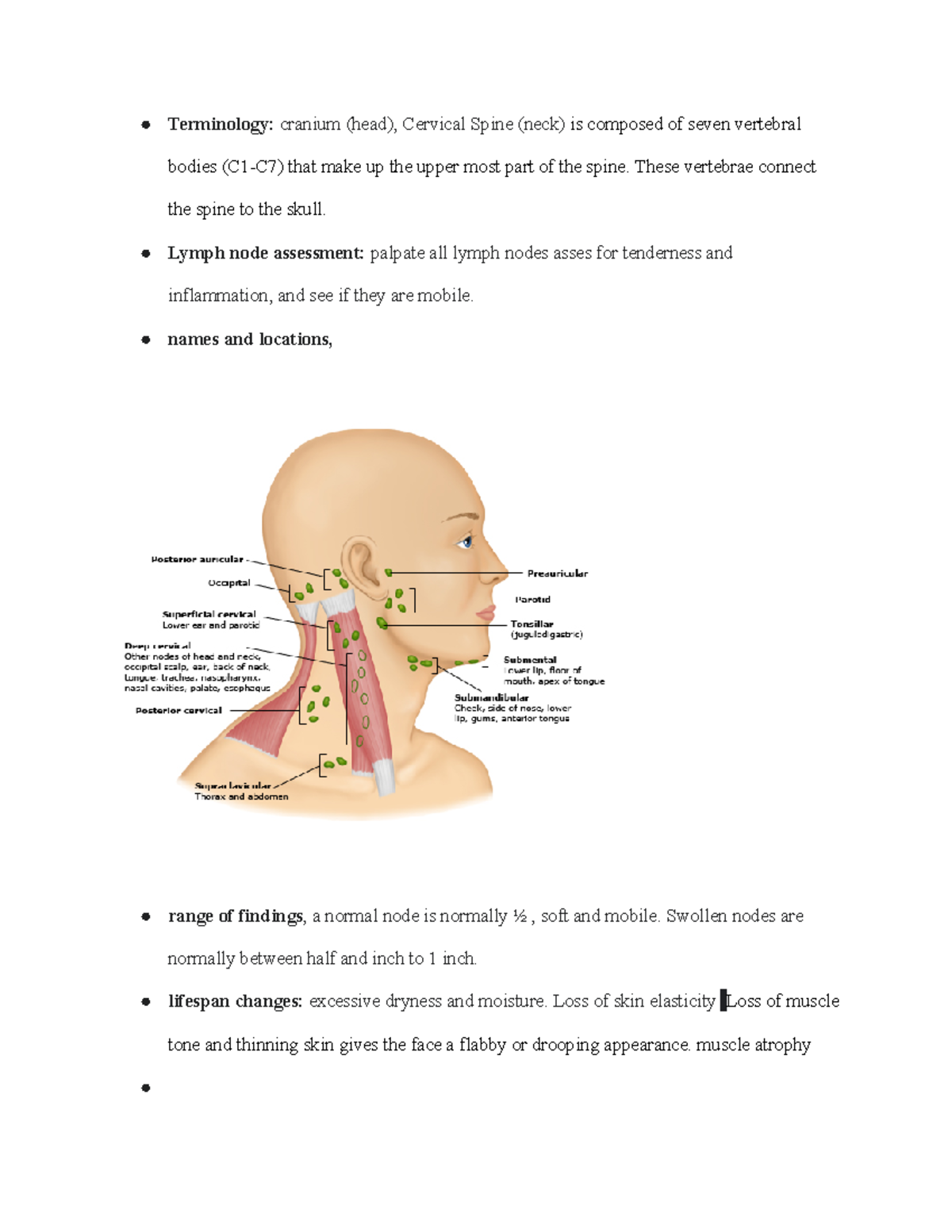 Untitled document2 ap Terminology cranium (head), Cervical Spine