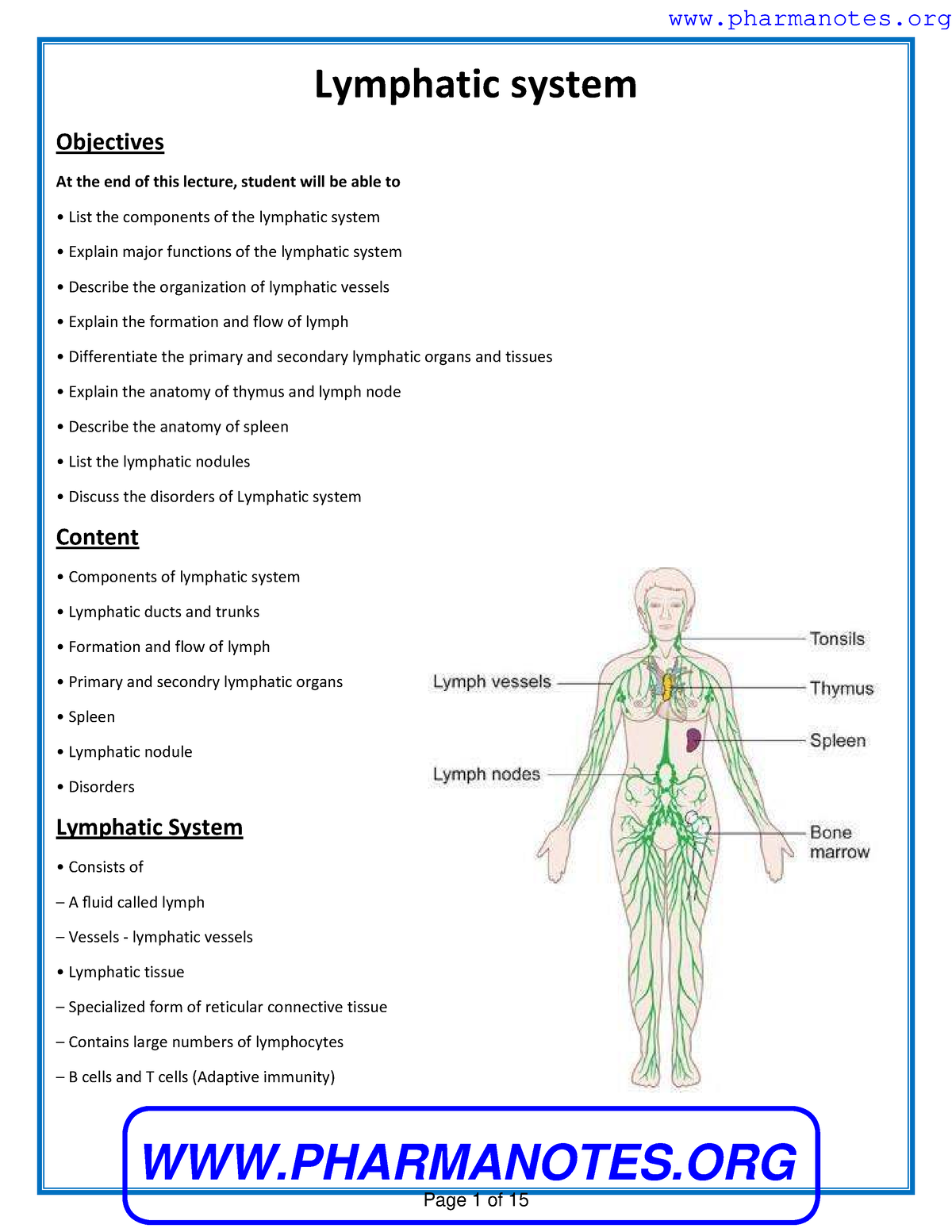 Lymph - Notes for 1st sem human anatomy and physiology - Lymphatic ...