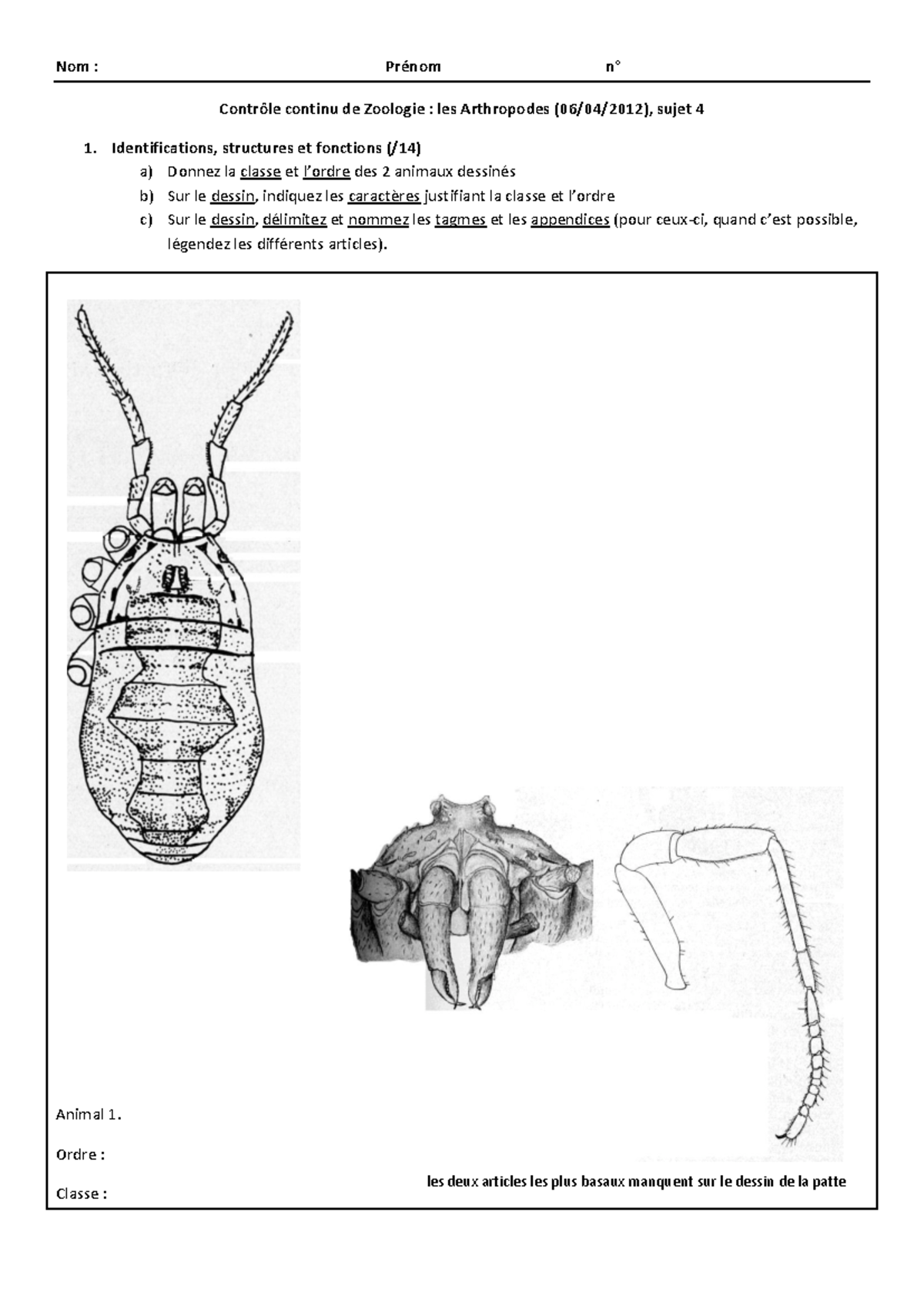 exam TP arthropodes - Nom : Prénom n° Contrôle continu de Zoologie ...
