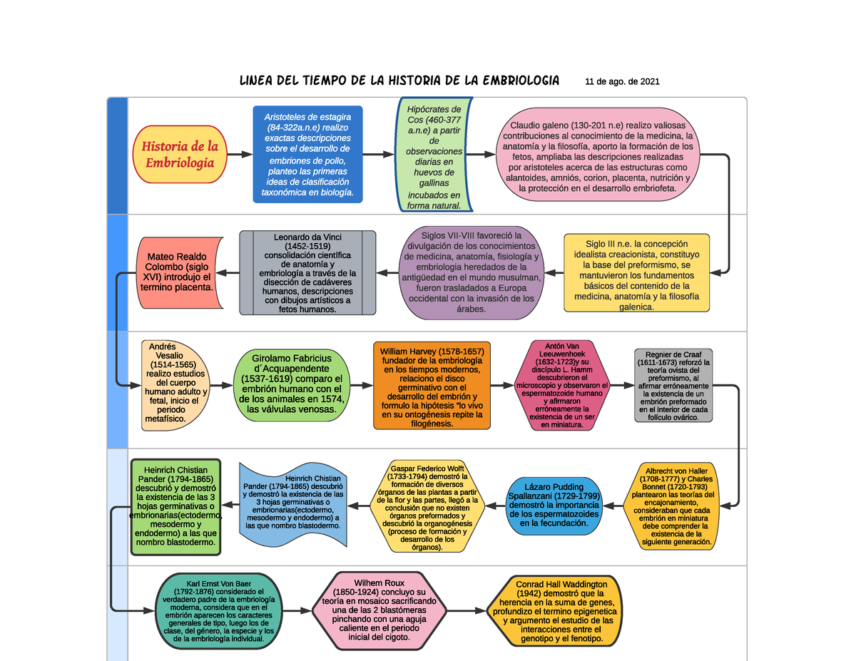 Historia De La Embriología Historia De La Embriologia Hipócrates De Cos 460 A A Partir De 