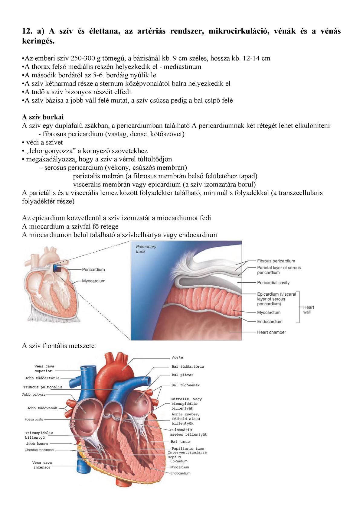 gyakorlat a szív egészségét diagram