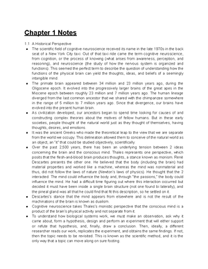 A Brief History Of Cognitive Neuroscience Cognitive Psychology Vs A Brief History Of Cognitive Neuroscience Cognitive Psychology Vs