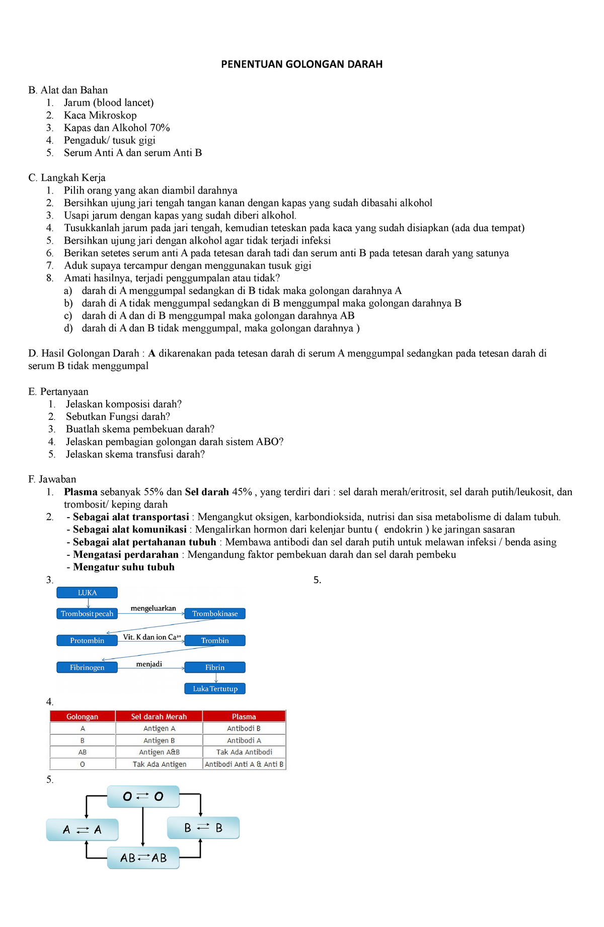 Penentuan Golongan Darah - PENENTUAN GOLONGAN DARAH B. Alat Dan Bahan 1 ...
