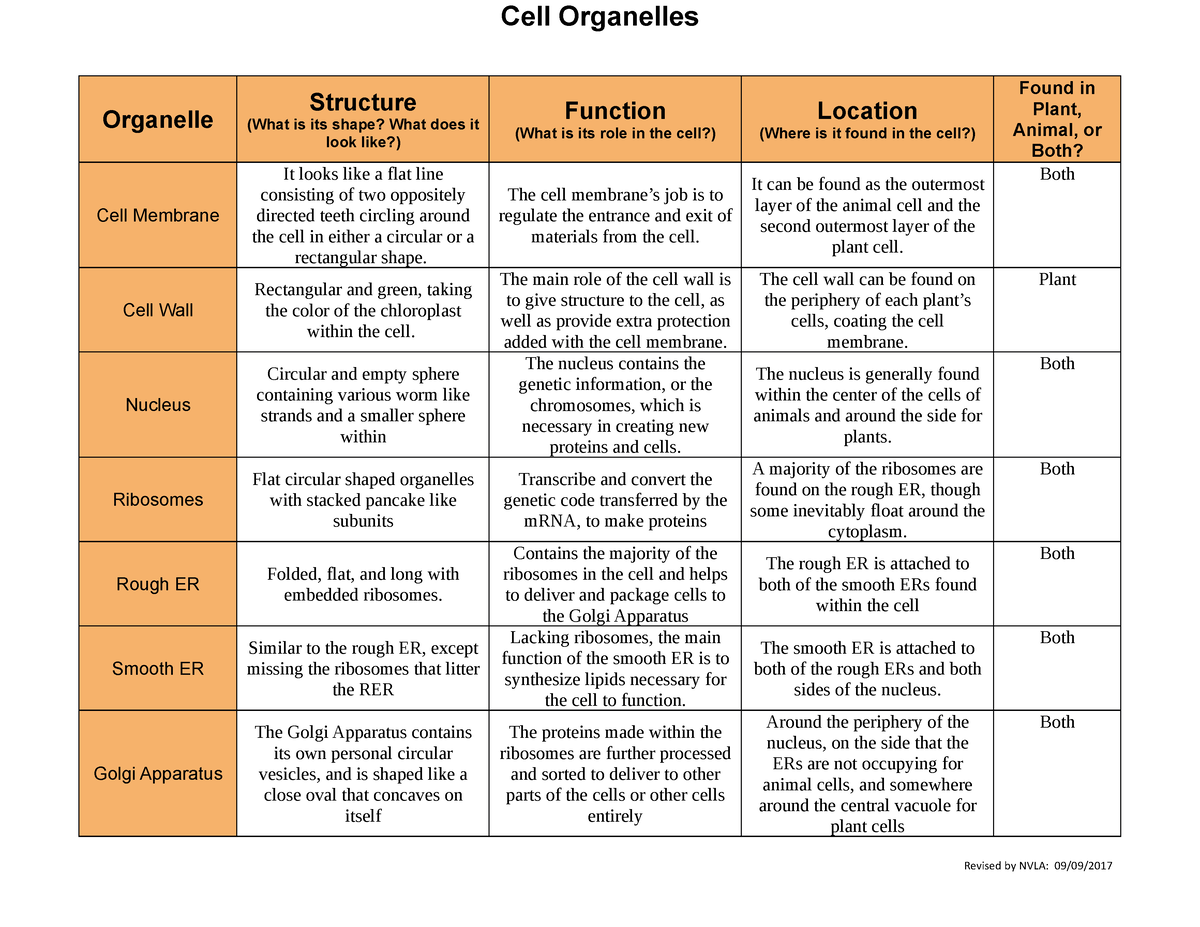 M3L1 Cell Organelles Chart - Cell Organelles Organelle Structure (What is  its shape? What does it - Studocu