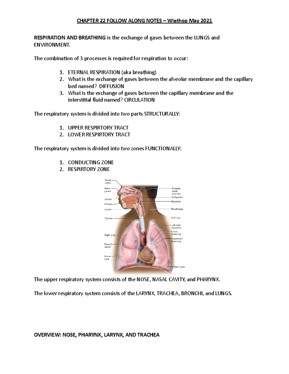 Wk 6 Outline - Respiration And Breathing Is The Exchange Of Gases 