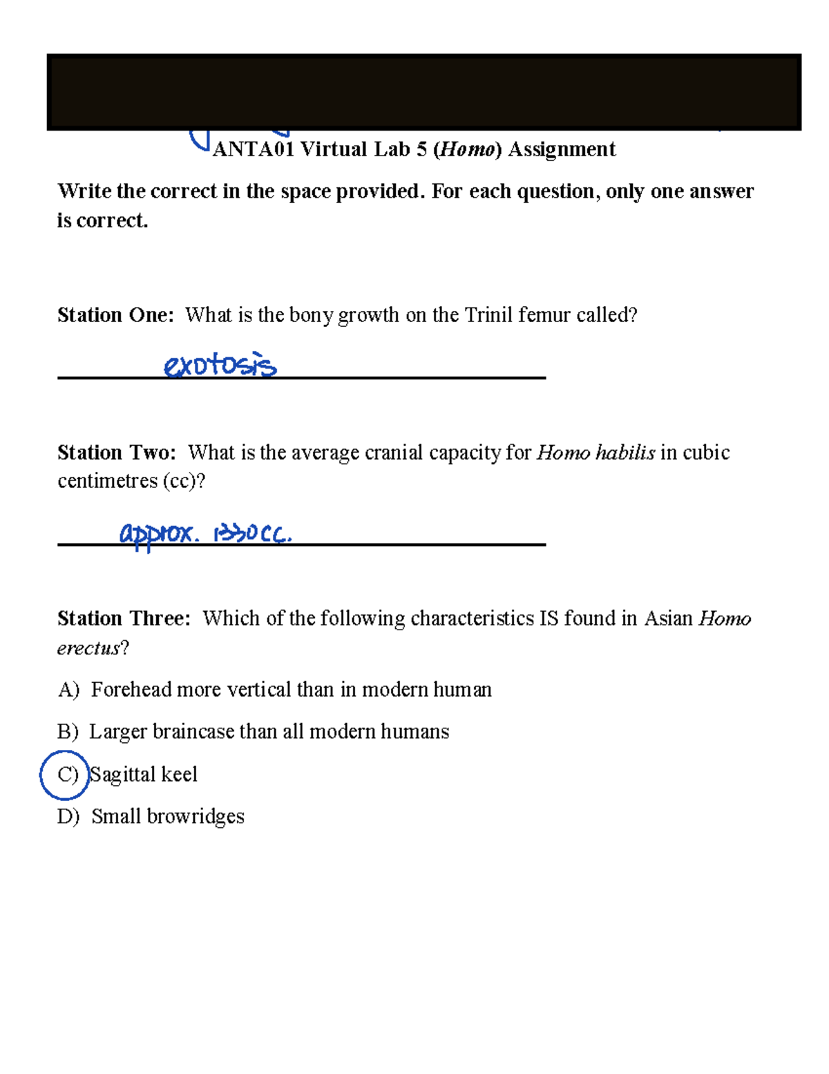 ANTA01 Lab 5 Notes Fall 2020 - Tutorial Number: Name: Student Number ...