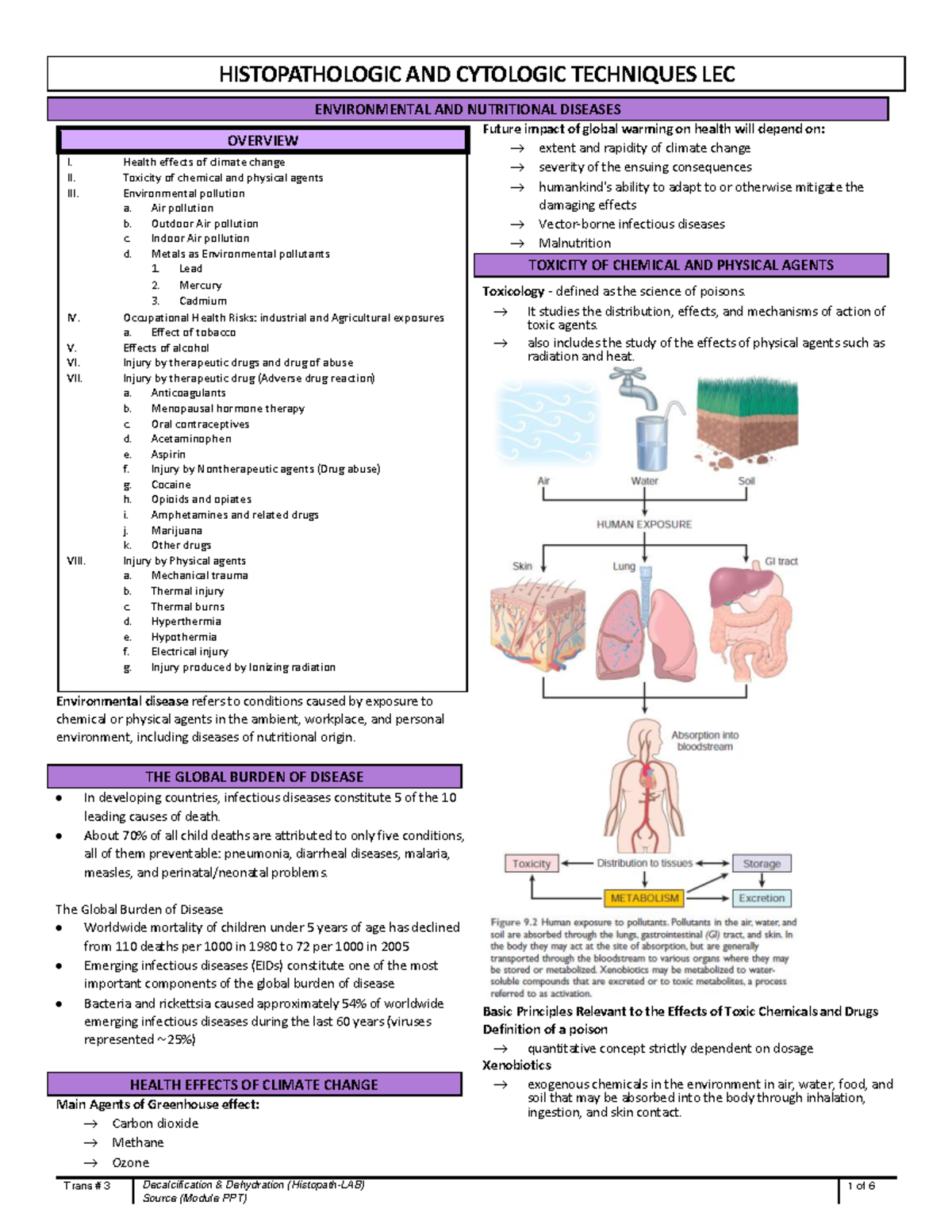 Histopathology - Week 13 - Trans # 3 Decalcification & Dehydration ...