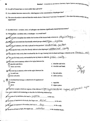 Pysio Bio Chapter 3 - physiobio notes - Anatomy of the Nervous System ...