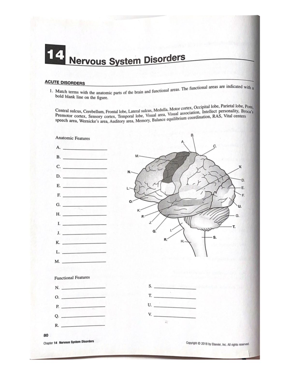 14-nervous-system-disorders-questions-nurs1420p-studocu